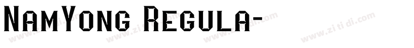 NamYong Regula字体转换